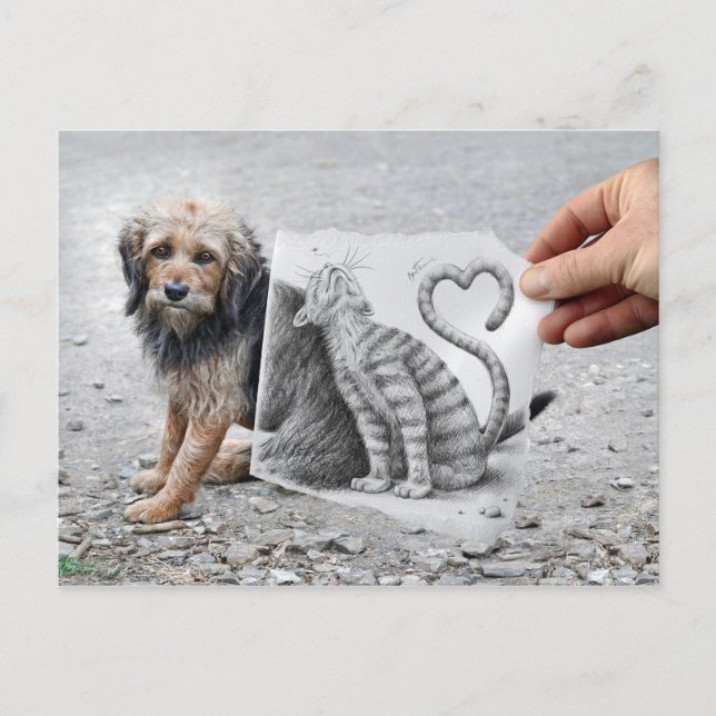 VS-Kamera - Hund und Katze Postkarte (Vorderseite)