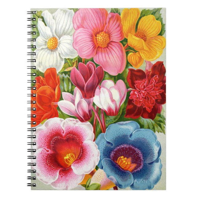VTG Botanical Begonias & Gloxinias SpiralNotebook Notizblock (Vorderseite)