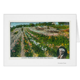 Vue aérienne de Burbanks Ferme expérimentale