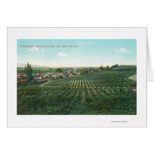 Vue aérienne de la ville, le comté de Sonoma de la