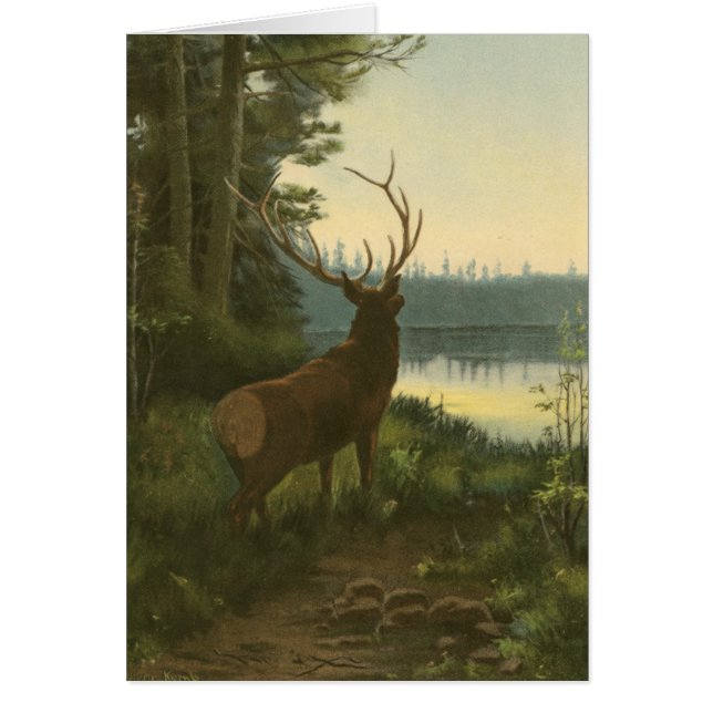 Vue arrière du lac Elk Vue sur un lac (Devant)