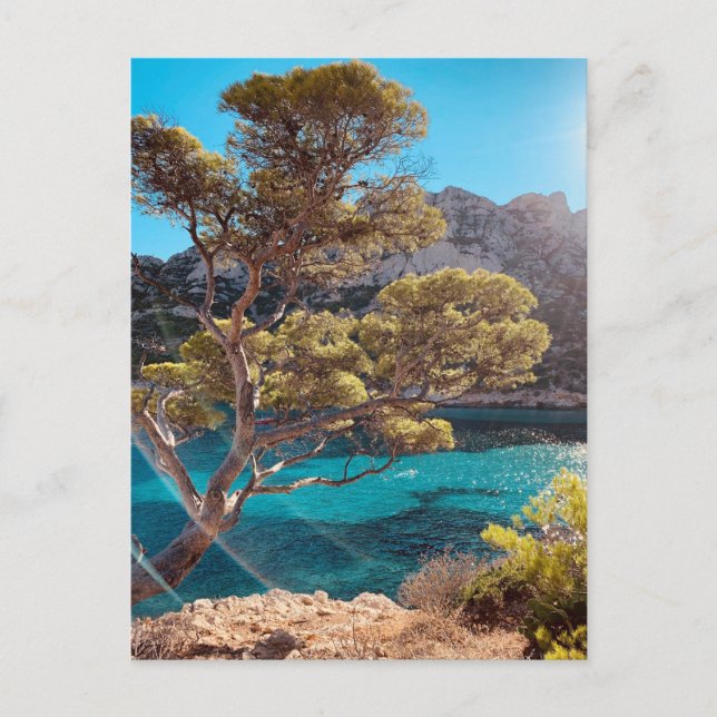 Vue de la Côte d'Azur à Marseill France Carte post (Devant)