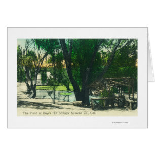 Vue de l'étang de Hot Springs