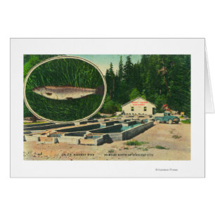 Vue de l'Hatchery de TruitesGasquet, CA