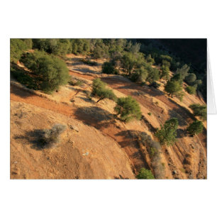 vue de l'oeil d'aigles