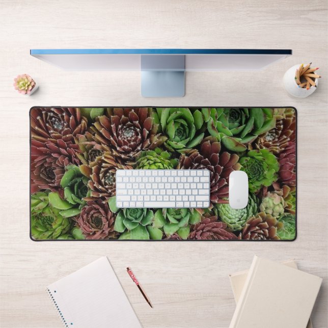Vue de l'oeil de l'oiseau des Plantes semi-vivants (Bureau 1)