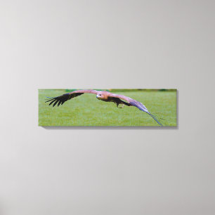 Vue de l'oeil d'oiseau sur toile panoramique