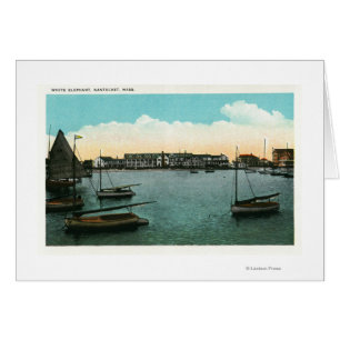 Vue de White Elephant