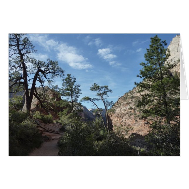 Vue depuis le guetteur du Parc national de Sion (Devant horizontal)