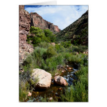 Vue depuis North Kaibab Trail