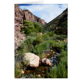 Vue depuis North Kaibab Trail
