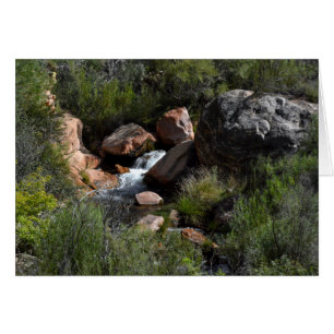 Vue depuis North Kaibab Trail, Grand Canyon