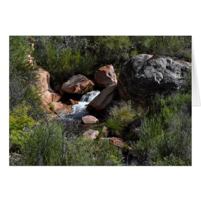 Vue depuis North Kaibab Trail, Grand Canyon (Devant Horizontal)