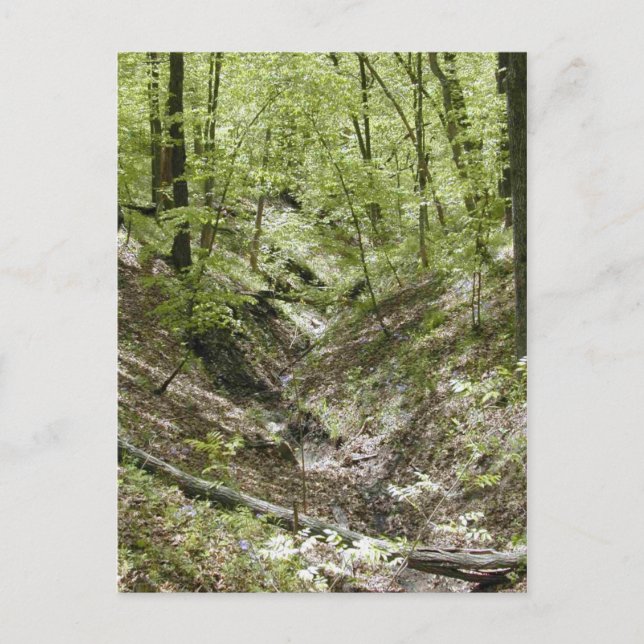 Vue des cartes postales du pont Ledges (Devant)