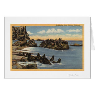 Vue des rochers de phoque avec phoques