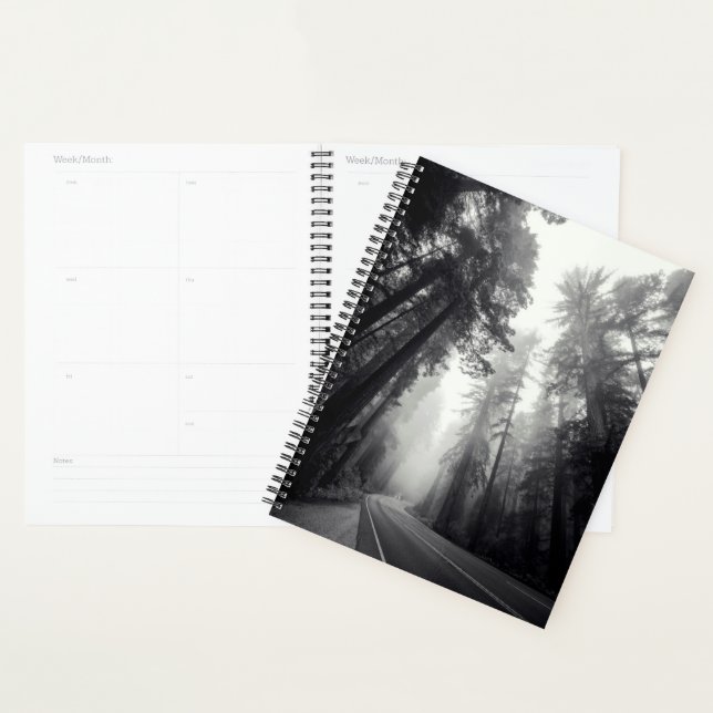 Vue Des Séquoia Dans La Forêt (Devant avec enveloppe)