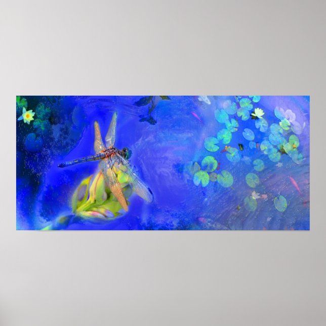 Vue Dragonfly, affiche (Devant)