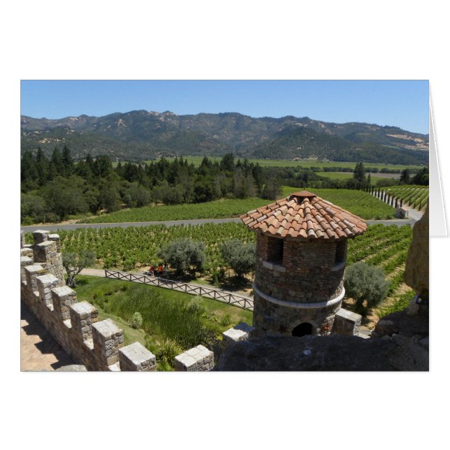 Vue du Château (Devant horizontal)