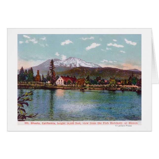 Vue du mont Shasta de l'écloserie de poisson (Devant horizontal)