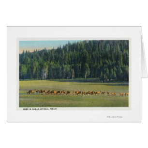 Vue d'un pack de paillage de cerfs