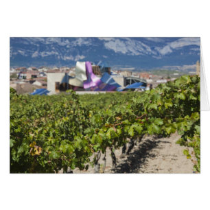 Vue élevée sur la ville et Hôtel Marques de Riscal