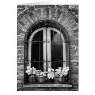 Vue en noir et blanc d'une fenêtre et de pots de f