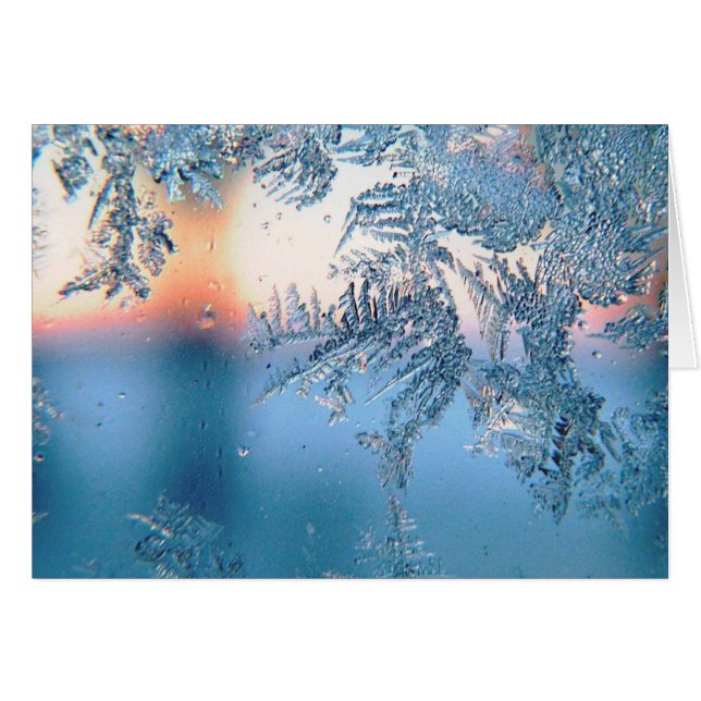 Vue figée (Devant horizontal)