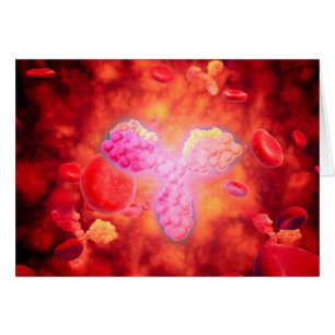 Vue microscopique d'Anitbodies humain