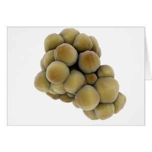 Vue Microscopique De La Tumeur 5