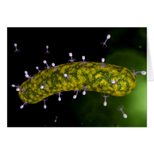 Vue microscopique de l'attaque de bactériophage