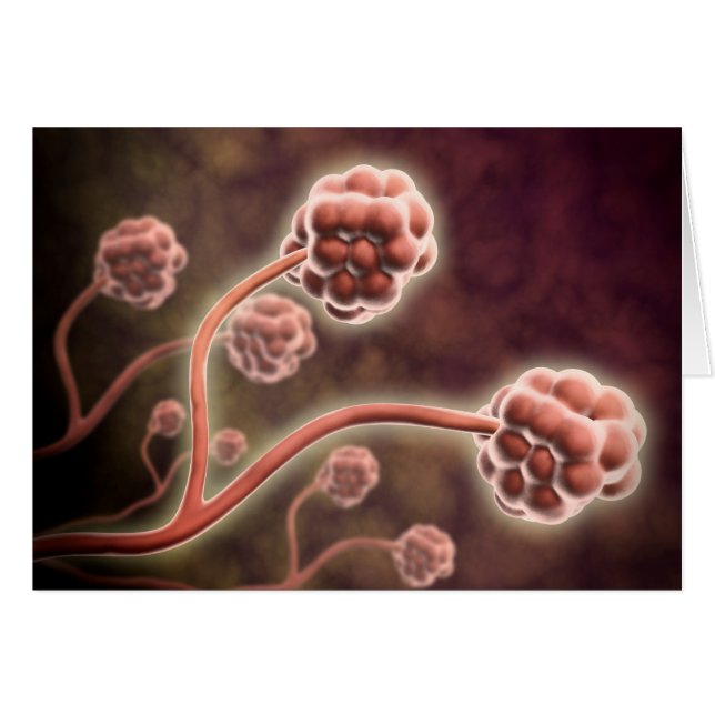 Vue Microscopique De Stachybotrys Chartarum (Devant horizontal)