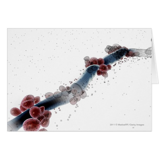 Vue microscopique de Wireframe des albicans de (Devant horizontal)