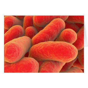 Vue Microscopique Des Bactéries 4