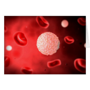 Vue Microscopique Des Cellules De Sang Blanc