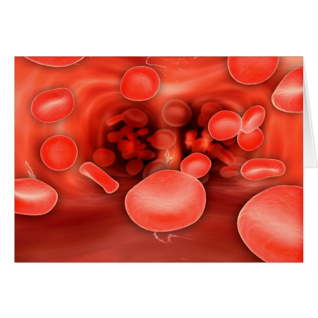 Vue Microscopique Des Cellules De Sang Rouge Qui S (Devant horizontal)
