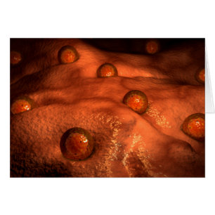 Vue Microscopique Des Ovules