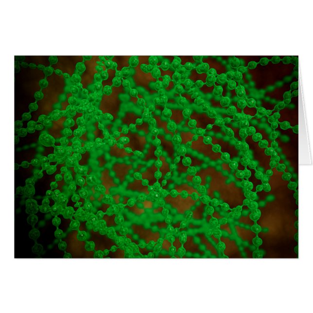 Vue Microscopique Du Bactérie Cocci (Devant horizontal)