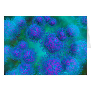 Vue Microscopique Du Diplococcus Bacterium