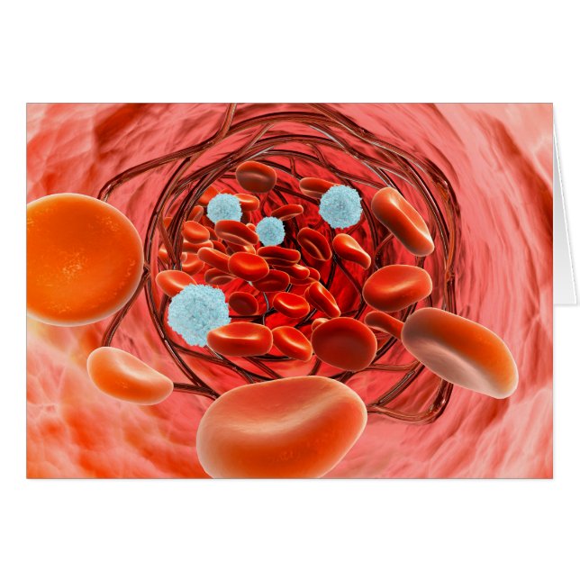 Vue Microscopique Du Flux De Sang À L'Intérieur D' (Devant horizontal)