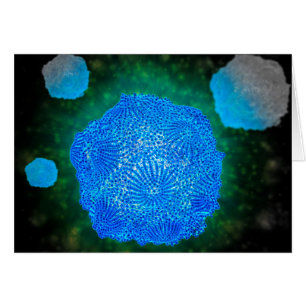 Vue Microscopique Du Parvovirus Canin 3