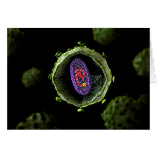 Vue Microscopique Du Virus Du VIH, Section Transve