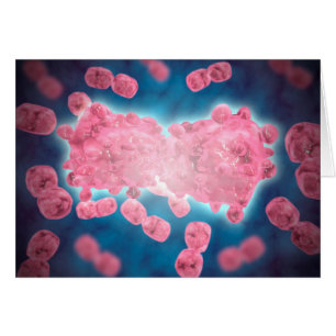 Vue Microscopique D'Un Groupe De Cellules Leucémiq