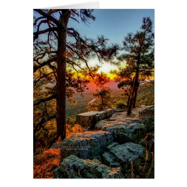 Vue panoramique sur le coucher du soleil / Pins /  (Devant)
