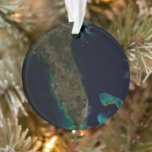 Vue Satellite Sur La Floride. (Arbre)