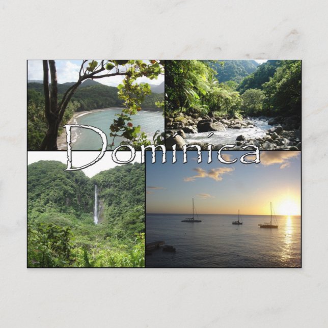 Vue sur la carte postale de Nature Isle (Devant)