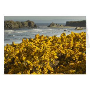 Vue sur le littoral, Bandon, Oregon