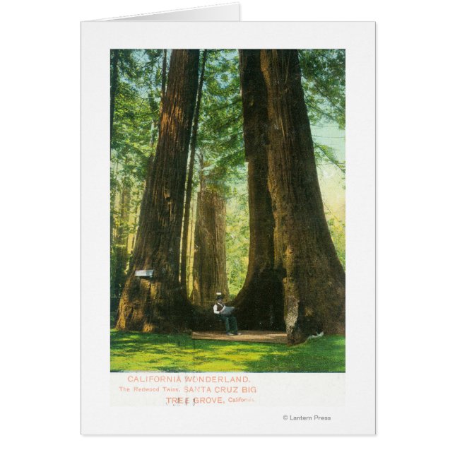Vue sur Redwood Twins à Big Tree Grove (Devant)