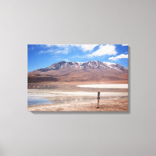 Vulkan in einer Altiplano LandschaftsLeinwand Leinwanddruck