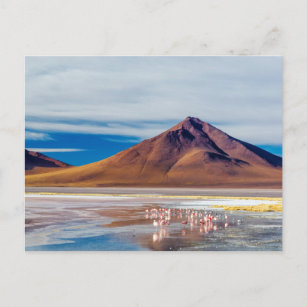Vulkan und Flamingos Postkarte