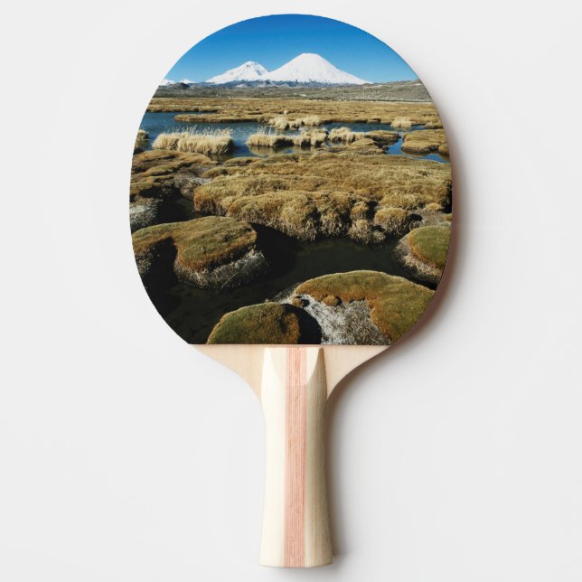 Vulkane Payachalas Tischtennis Schläger (Vorderseite)